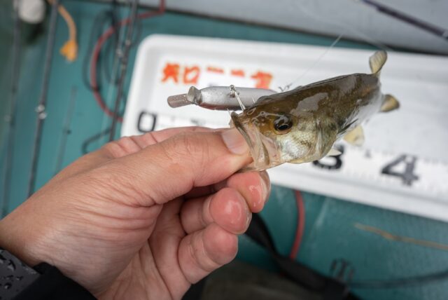 ABU 1600C IAR ベイトリール ABU 1600C IAR ベイトリール ABU 1600C IAR ベイトリール ABU 1600C